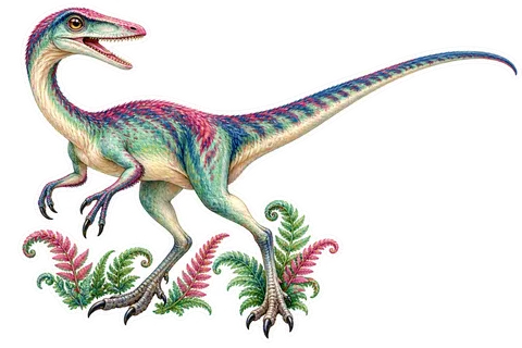 Coelophysis — Species portrait dinosaur sticker